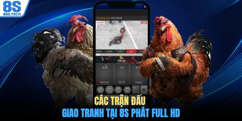 Các trận đấu giao tranh tại 8S phát full HD